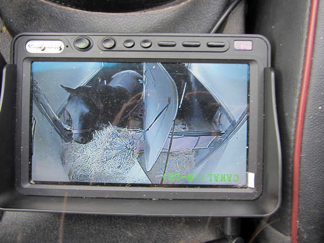 تاج باب خشب camera van chevaux surveillance sans fil درعه