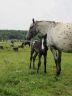 Le jour de sa naissance