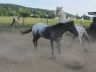 Valmy et Ultimate, mai 2011