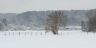 Patures_hiver.jpg