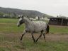 ruby_2012-04_01.jpg