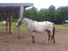 ruby_2012-06_01.jpg