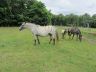 ruby_2012-07_02.jpg