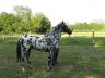 Sully, juin 2006