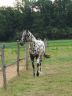Sully, juin 2006