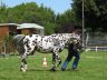 Sully et Côme, août 2007
