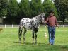 Sully et Côme, août 2007