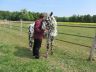 Côme et Sully, mai 2011