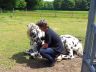 sully_2013-05_01.jpg