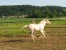 Sunshine, juin 2006