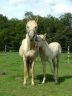 Opaline et Sunshine, août 2006